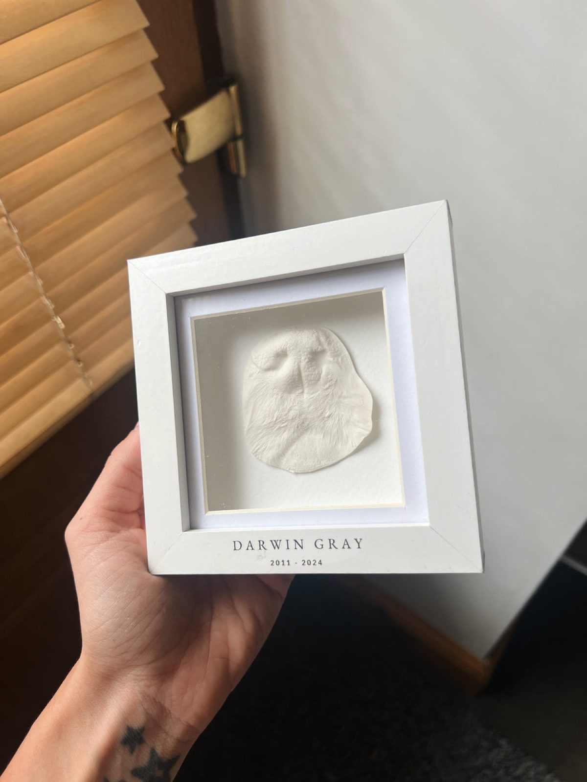 Framed nose-print keepsake with name and dates inscription
